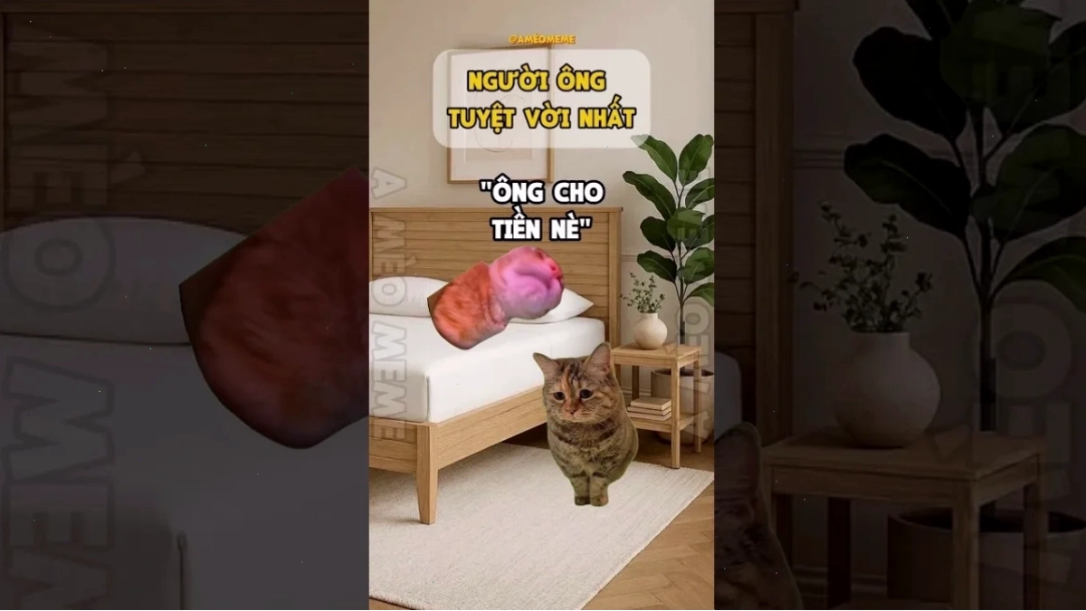 meme tuyệt vời