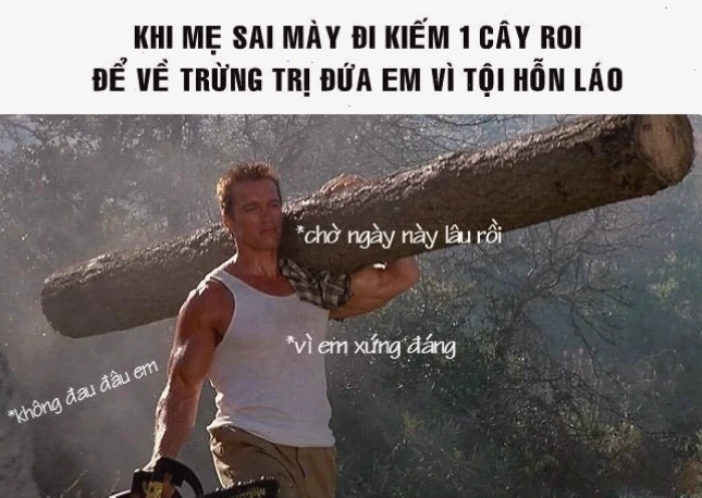 meme vì bạn xứng đnags troll