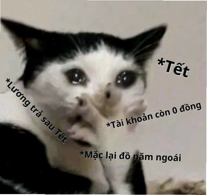 meme ví hết tiền cười méo xệch