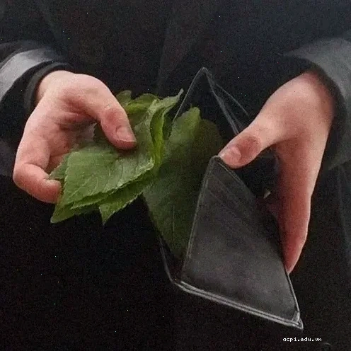 meme ví hết tiền lúc cuối tháng