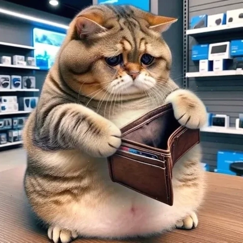 meme ví hết tiền thất thần