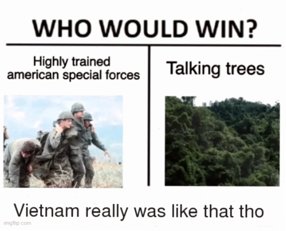 meme viet nam bựa