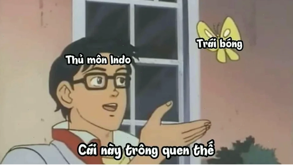 meme việt nam chất