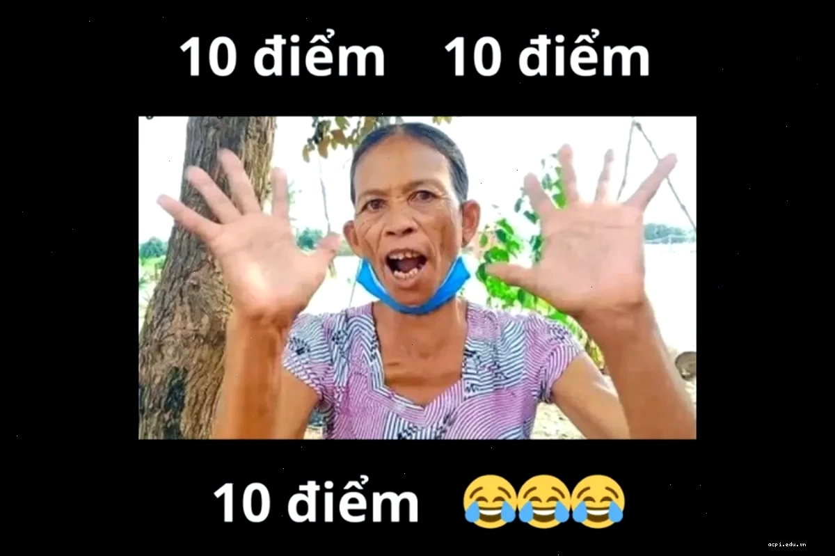 meme viet nam chất