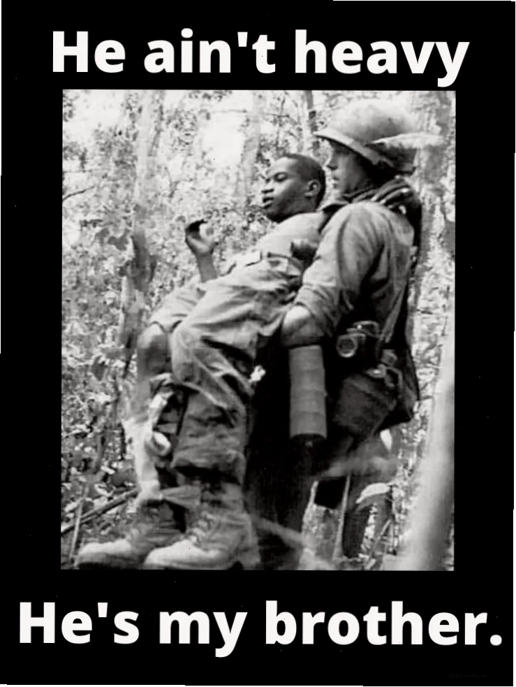 meme viet nam chê