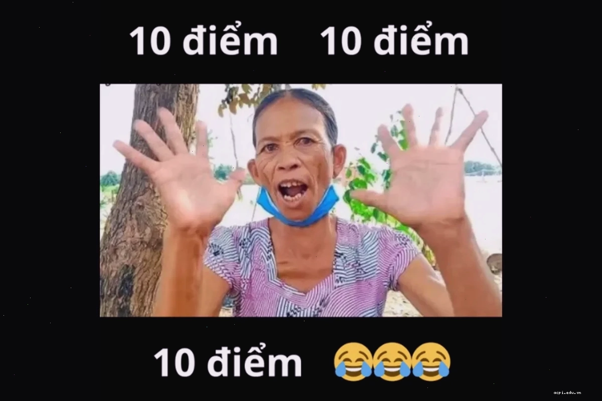 meme việt nam cười