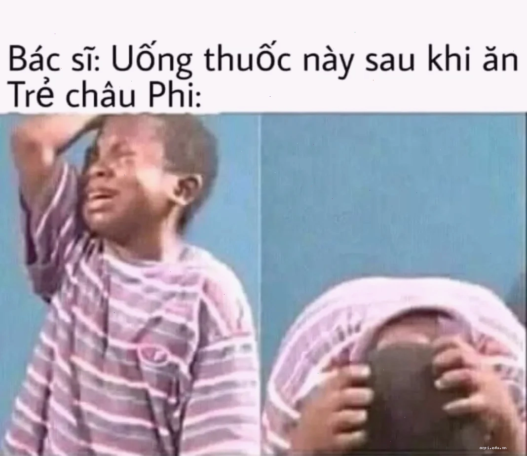 meme việt nam cười