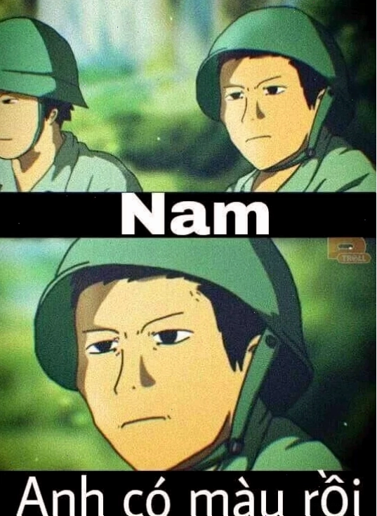 meme việt nam độc