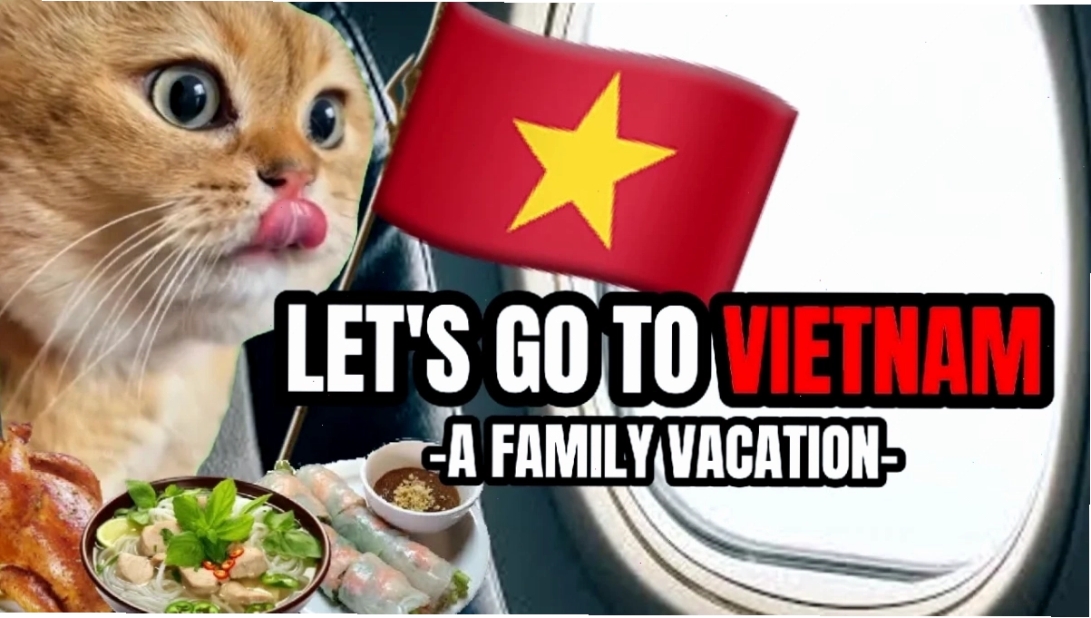 meme viet nam fbi