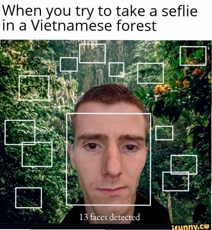 meme viet nam hài