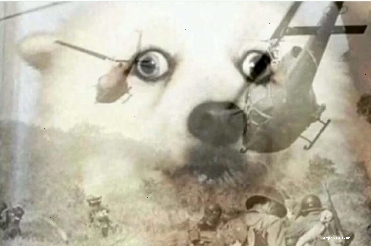 meme viet nam sợ hãi