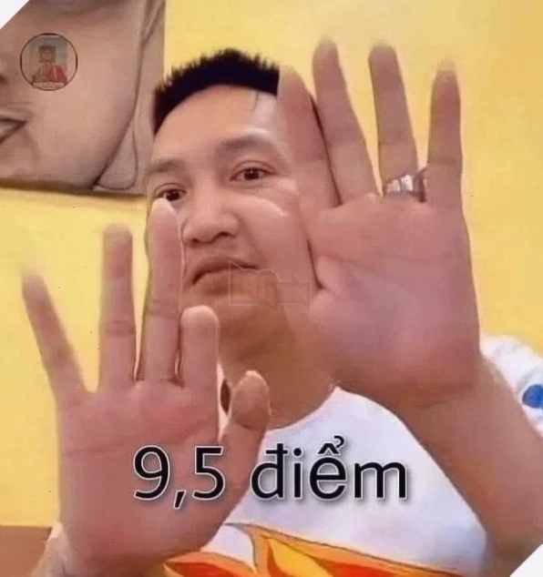 meme việt nam troll