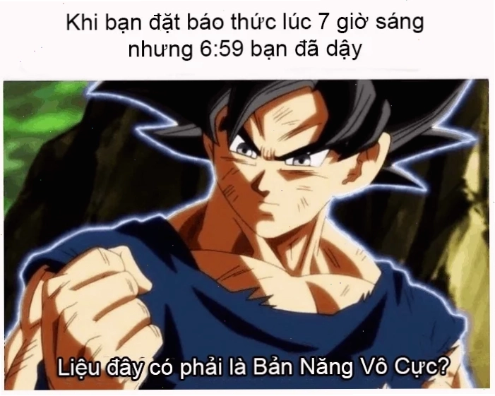 meme việt nam troll