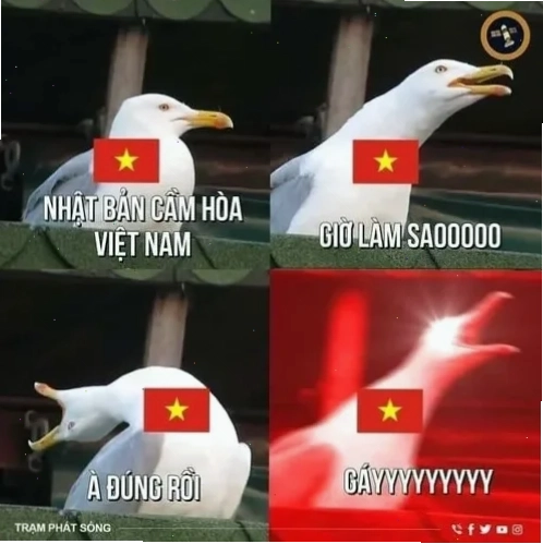 meme việt nam vui
