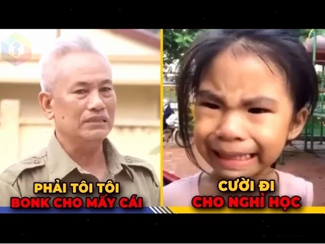 meme việt nam vui