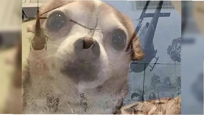 meme vietnam bá đạo