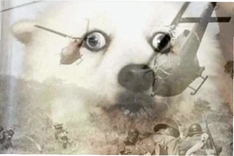 meme vietnam độc lạ