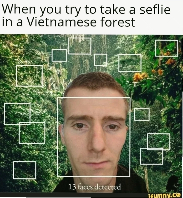 meme vietnam siêu lầy