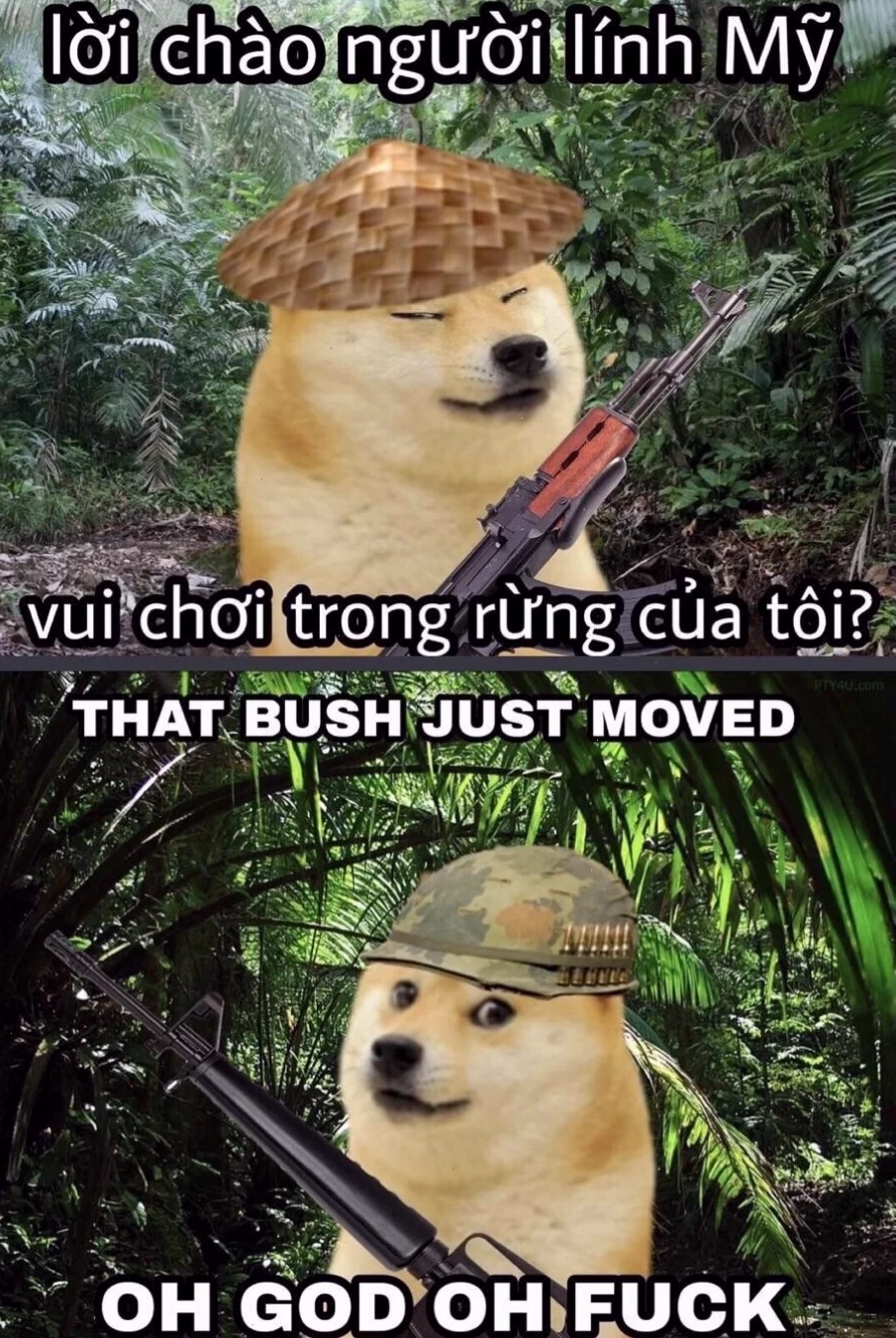 meme vn