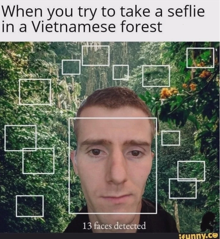 meme vn
