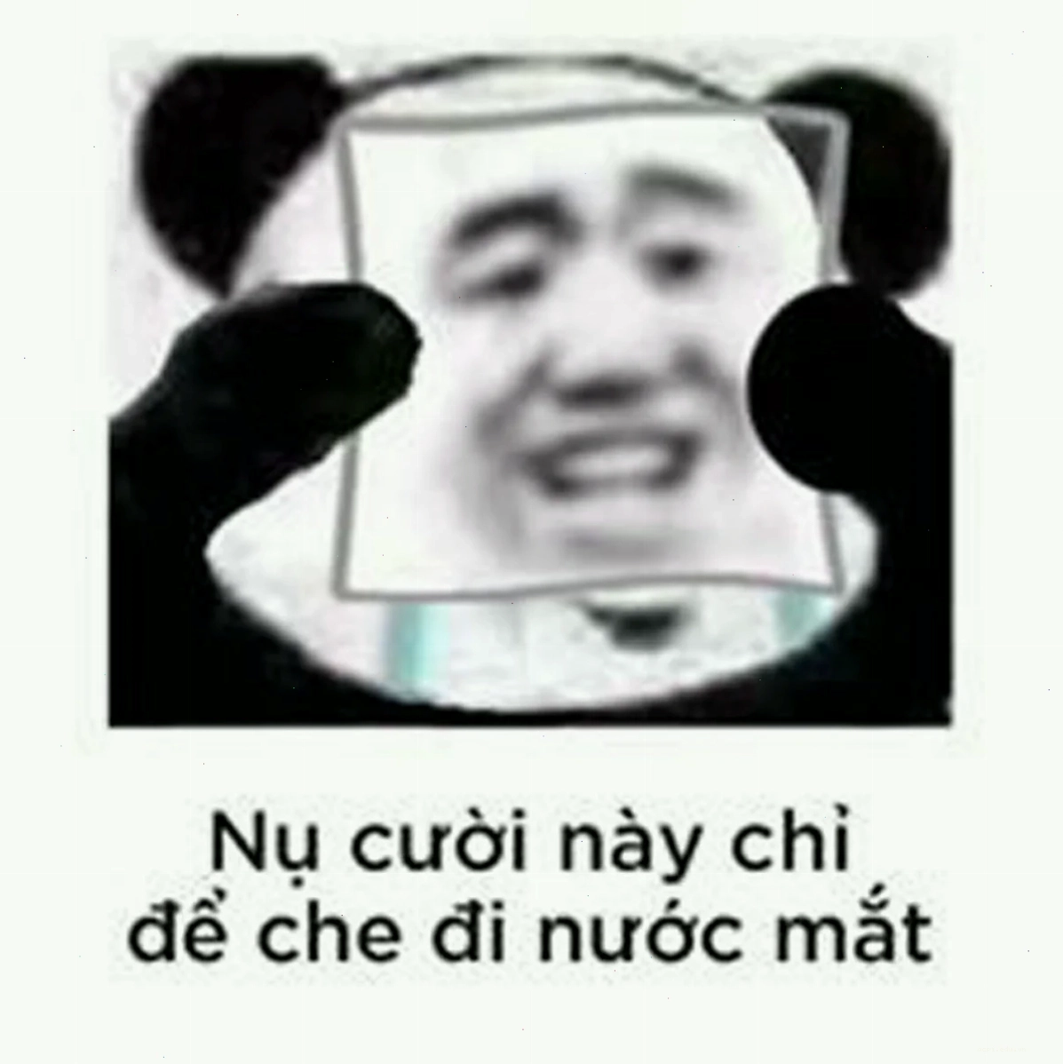 meme vừa cười vừa khóc cho ngày thứ hai