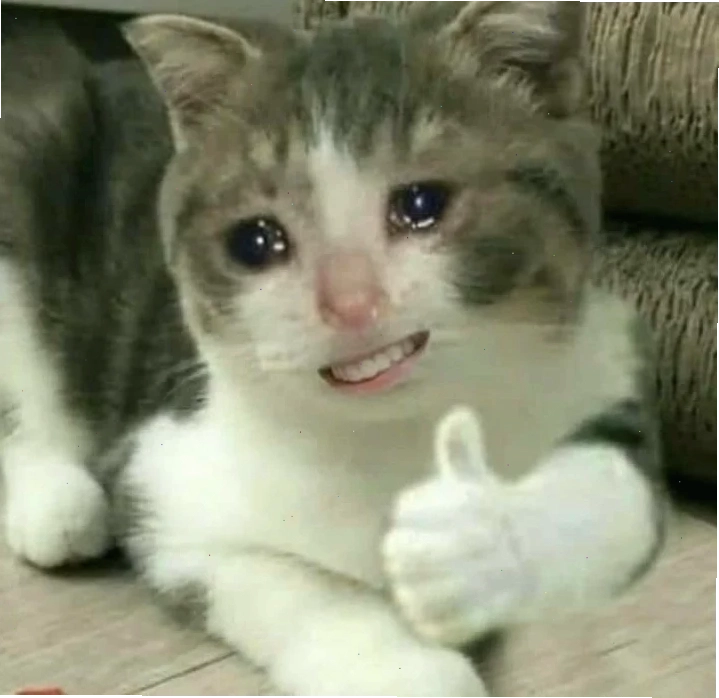 meme vừa cười vừa khóc của chuột Jerry