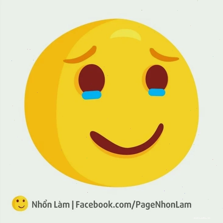 meme vừa cười vừa khóc cực dễ thương
