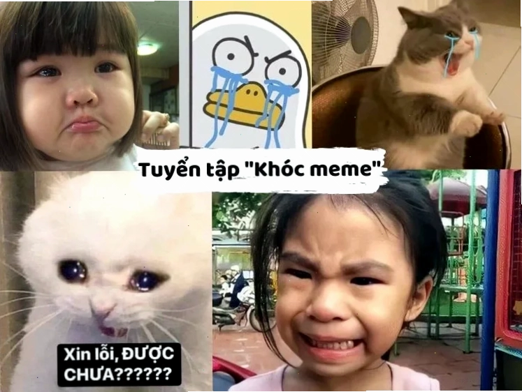 meme vừa cười vừa khóc cực phẩm