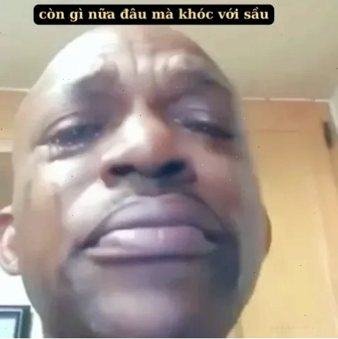 meme vừa cười vừa khóc kết thúc bài