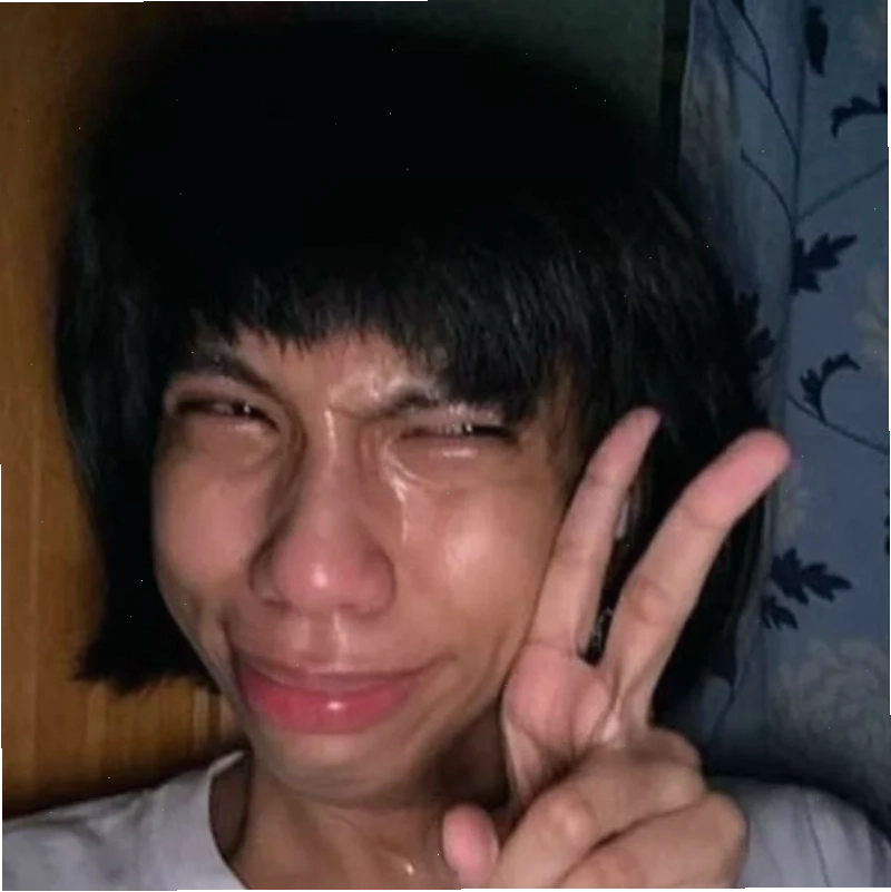 meme vừa cười vừa khóc mèo đáng yêu