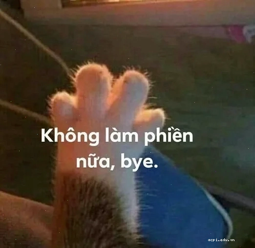 Meme vui