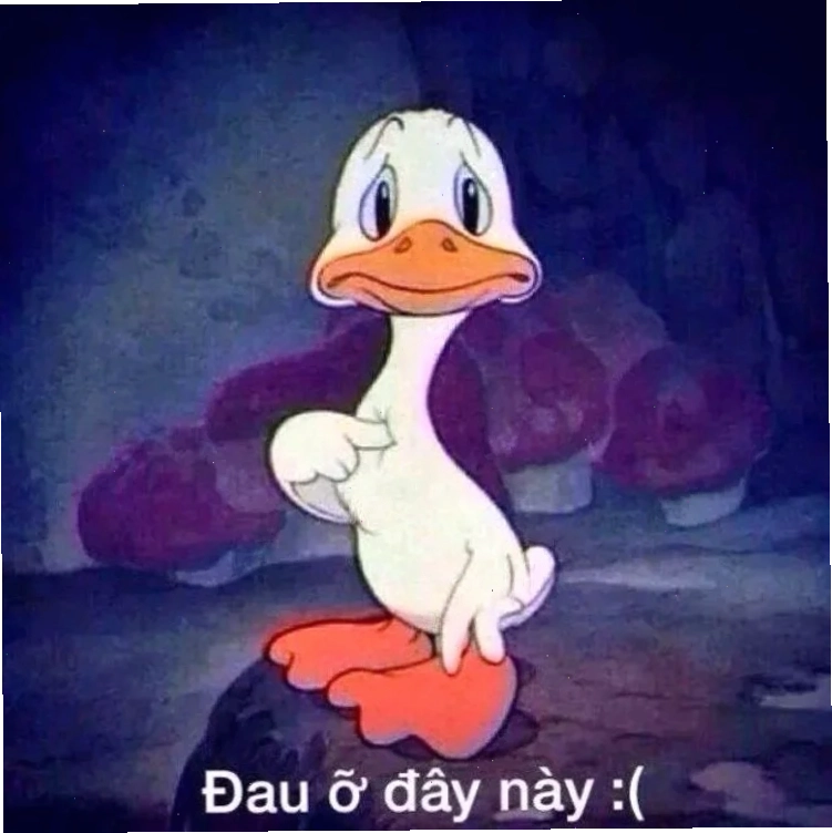 meme vui nhộn