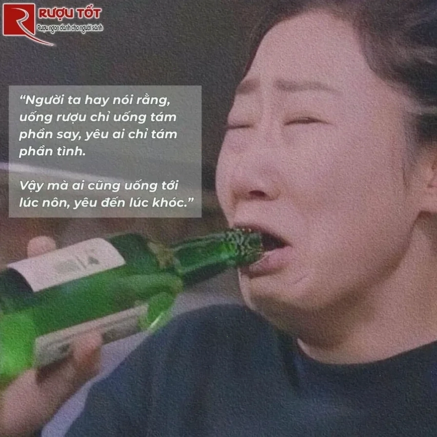 Meme vui nói không với rượu bia meme