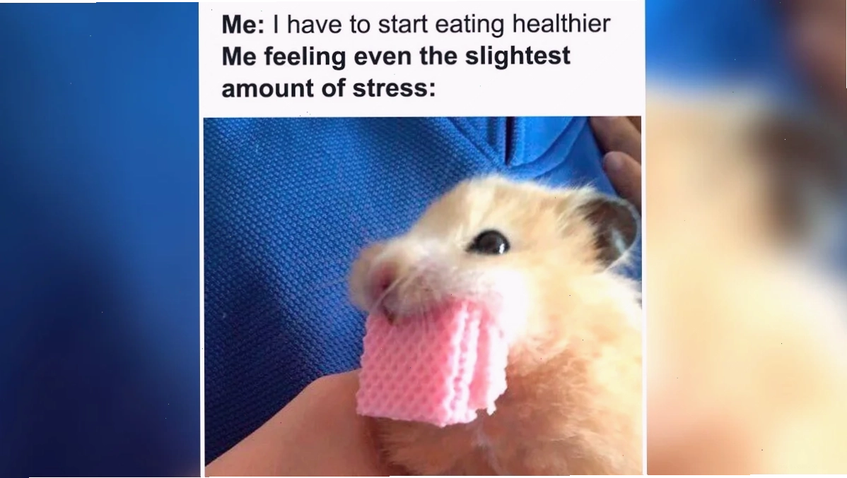 Meme vui vẻ