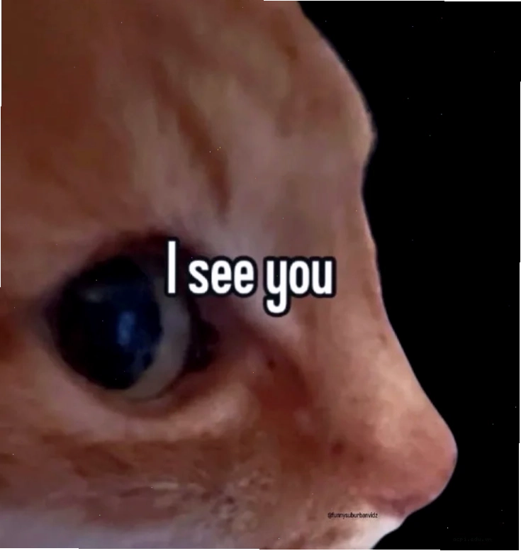 Meme vui vẻ