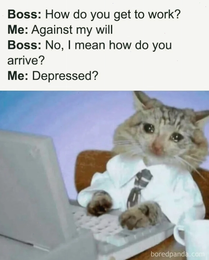 Meme vui vẻ bên bạn bè
