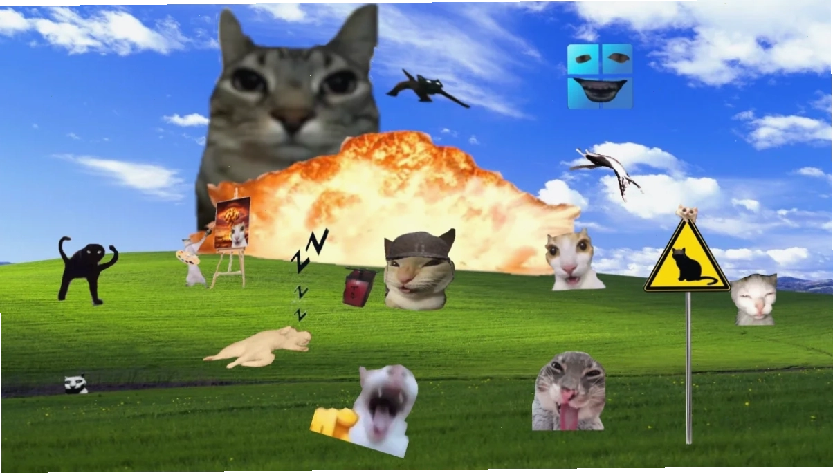 meme wallpaper cho điện thoại