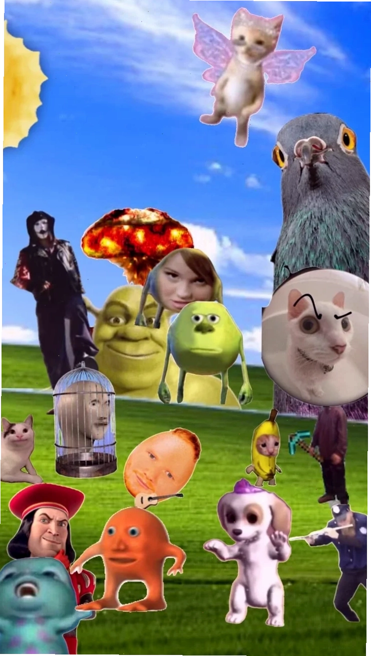 meme wallpaper hài hước