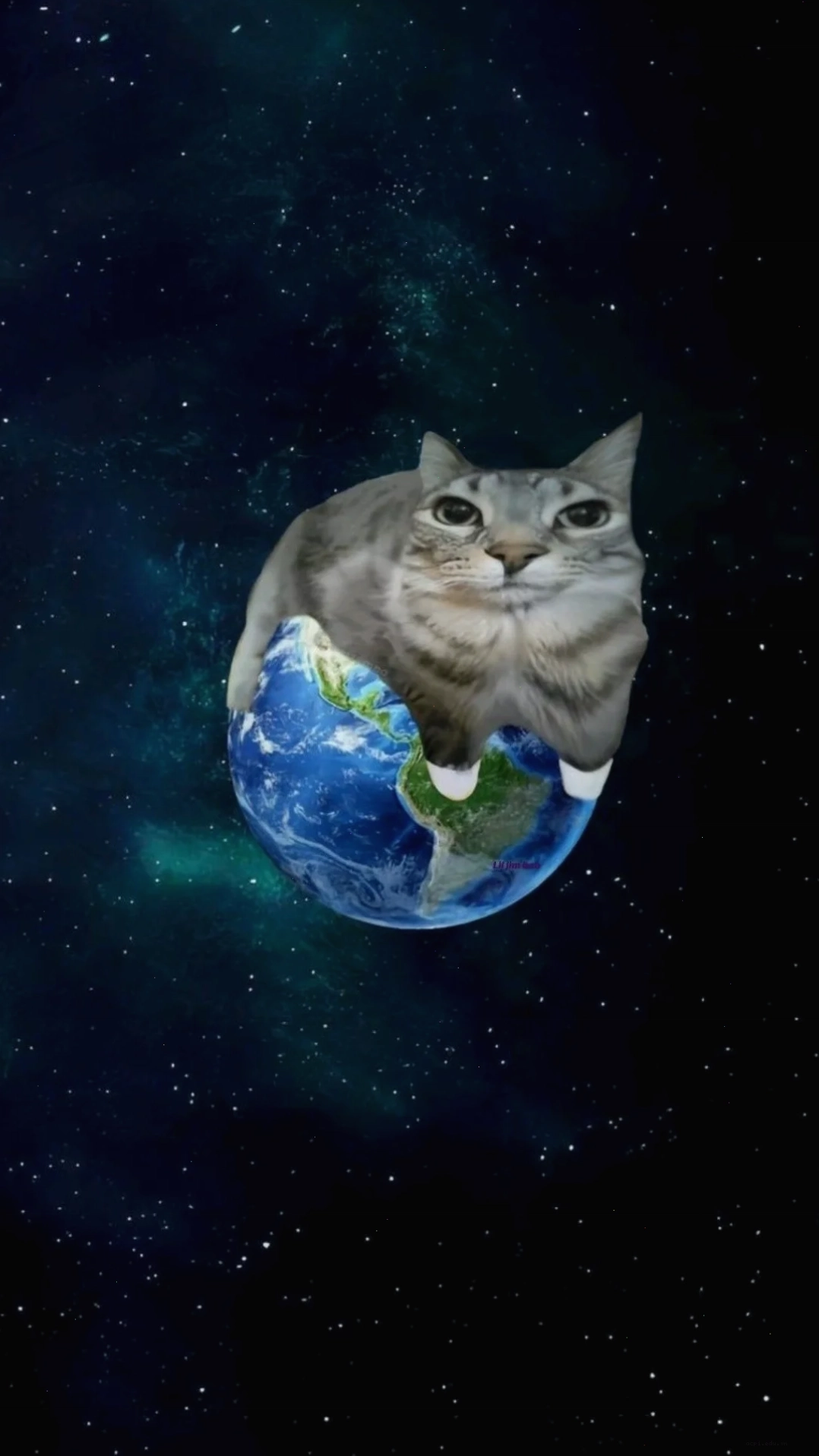meme wallpaper phong cách 4k