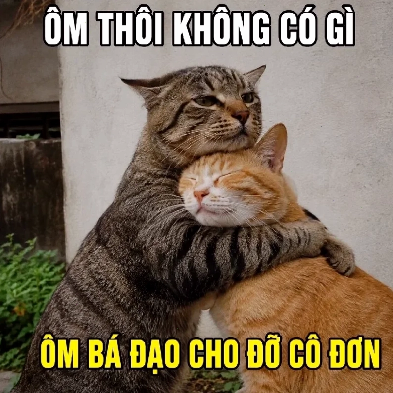 meme xe cứu thương