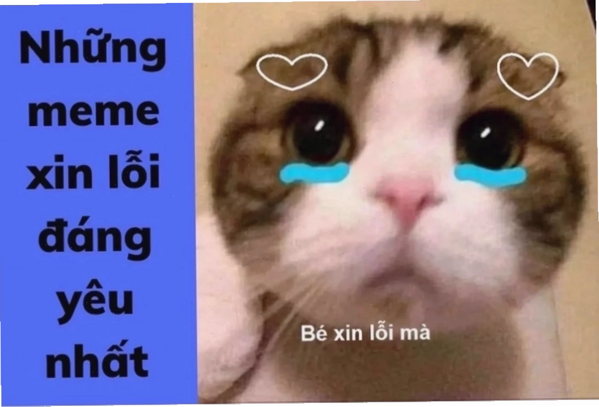 meme xin link chất