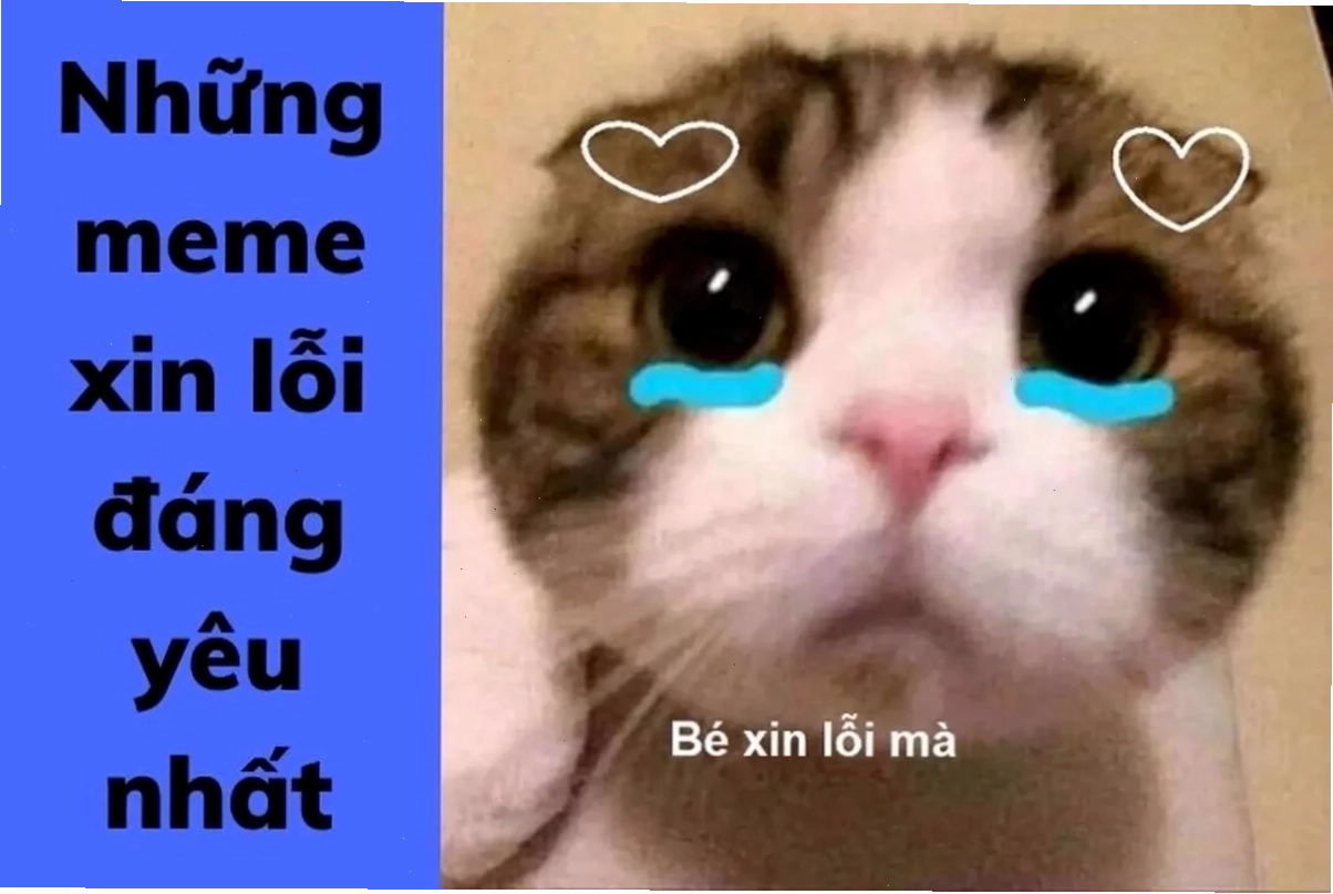 meme xin link chất