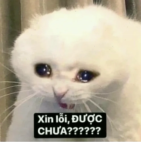 meme xin link hài