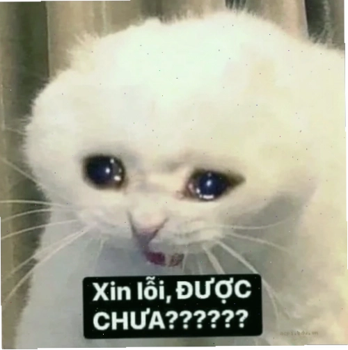 meme xin link hài