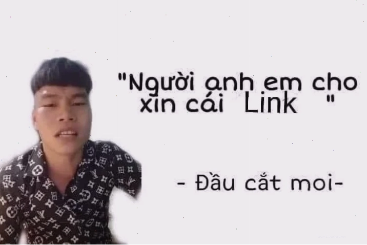 meme xin link hot