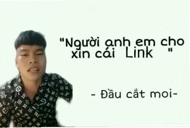 meme xin link hot