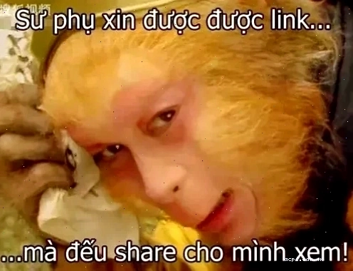 meme xin link lẹ