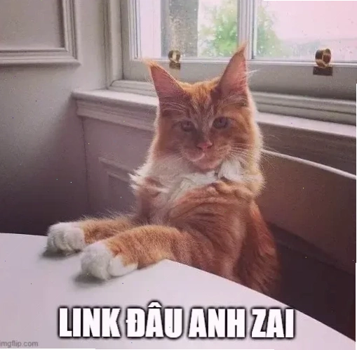 meme xin link nhẹ nhàng