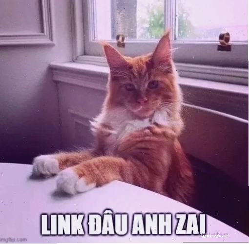 meme xin link nhẹ nhàng