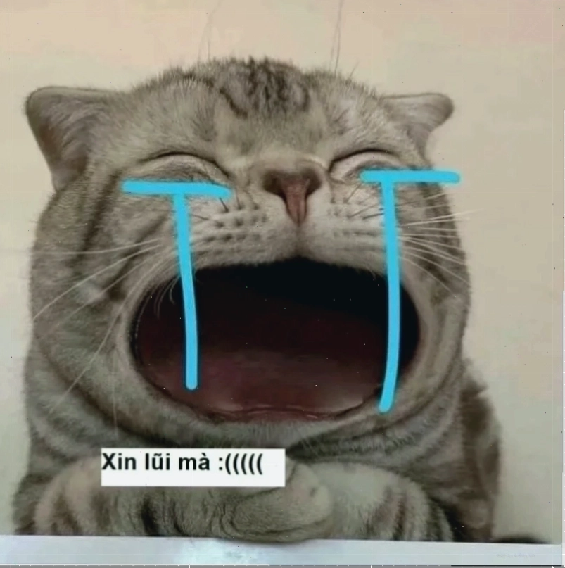 Meme xin lỗi bằng tiền đi phiên bản hài